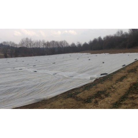 Агроволокно 6,3 х 100 м - 23 г/м²  GLAESERgrow