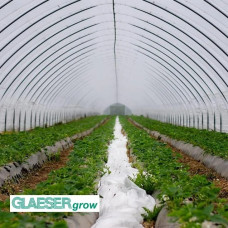 Плівка теплична на розмотування 16 м/150 мкм - GLAESERgrow