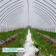 Плівка теплична на розмотування 12 м / 150 мкм GLAESERgrow